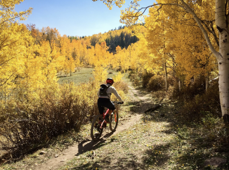 Fall foliage in Snowmass Bike Park