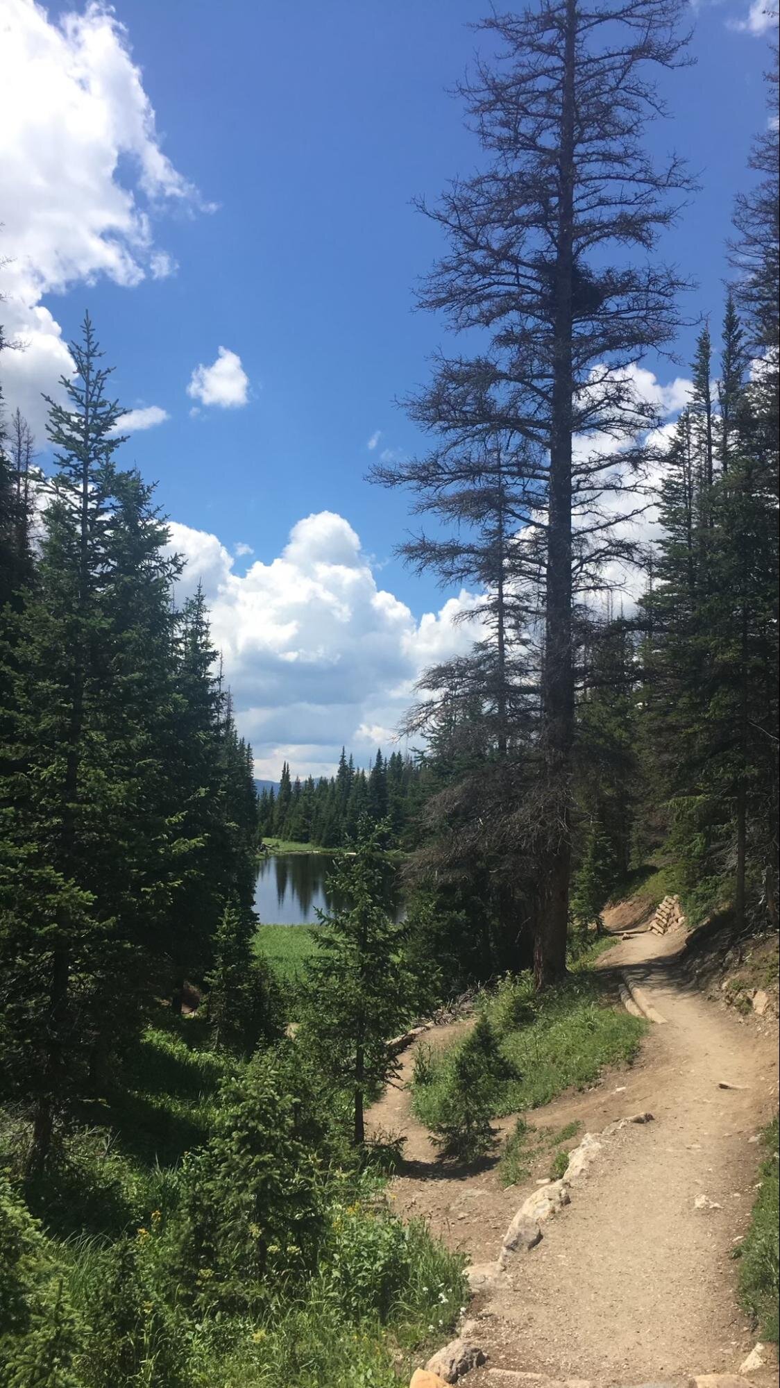 Rocky Mountain National Park. Photo courtesy of Charlotte Hanks.